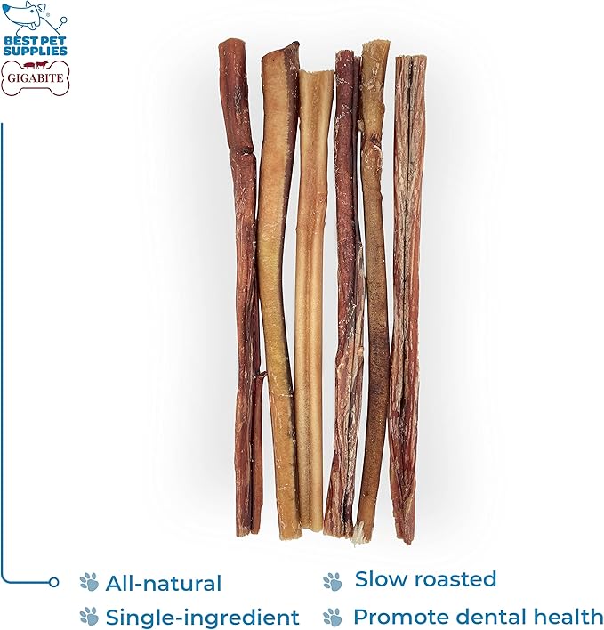 GigaBite Bully Sticks for Dogs All Natural Beef Pizzle Dog Chews, Odor & Rawhide Free Dog Treats, Long Lasting High Protein Chews Digestible Dental Dog Treat - Sticks (Regular 12"), Pack of 6