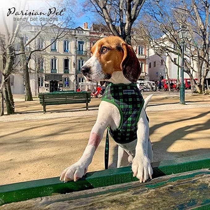 Parisian Pet Green Plaid Dog Harness - Breathable No Pull Puppy Harness with Leash Ring - Adjustable Harnesses for Dogs - Soft Padded Step-in Pet Vest - Lightweight Dog Vests for Small Sized Dogs