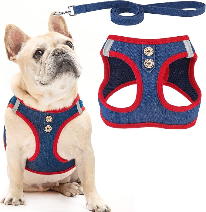 PUPTECK Dog Harness and Leash Set for Small Medium Dogs No Pull Step-in Soft Mesh Puppy Cat Vest Harnesses Reflective at Night, Denim NavyBlue XS