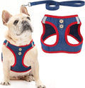 PUPTECK Dog Harness and Leash Set for Small Medium Dogs No Pull Step-in Soft Mesh Puppy Cat Vest Harnesses Reflective at Night, Denim NavyBlue M