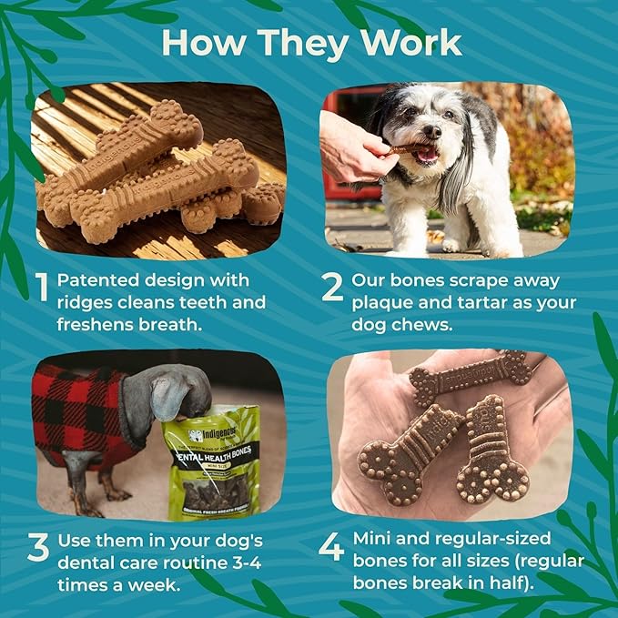 Indigenous Pet Dental Health Bones Mini 2 Pack – Smoked Bacon (11.92 Ounce x 2) | Grain-Free Dog Chews with Prebiotics & Omegas | Freshens Breath, Supports Digestive, Skin & Coat Health |