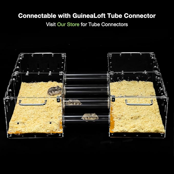 GuineaLoft™ Acrylic Cage (Model-P3B) - Small 2x1 ft Enclosed w/Lid & Bottom for Hamsters, Rats, Mice, Gerbils, Also Works for a Single Guinea Pig, or as a Transport Cage