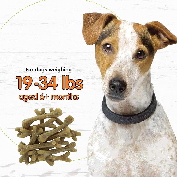Fido - Super Breath Dental Care Bones for Dogs - 13 Count Small Dog Dental Treats for Small Dogs (Made in USA) - Tasty Dog Dental Chews Help Reduce Plaque, Tartar Buildup, and Freshens Breath