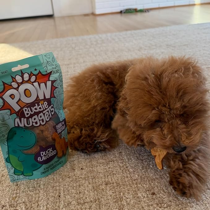 TRT POW Nugget Duck 13PK