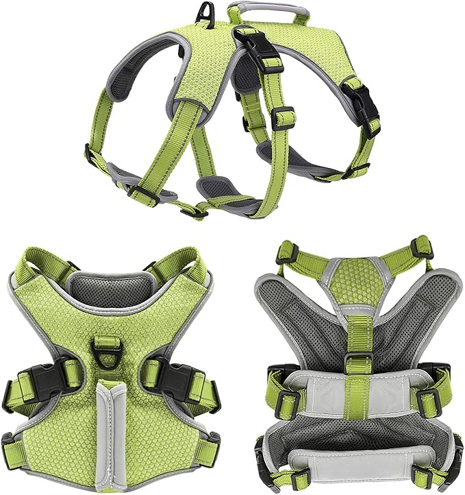BELPRO Multi-Use Support Dog Harness, Escape Proof No Pull Reflective Adjustable Vest with Durable Handle, Dog Walking Harness for Big/Active Dogs (Green, L)