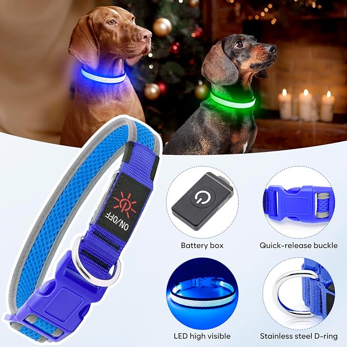 Flashseen LED Dog Collar, Light Up Dog Collar USB Rechargeable, Brightest Dog Lights for Night Walking, Adjustable Dog Collar Light for Dog Safety (Blue, Large)
