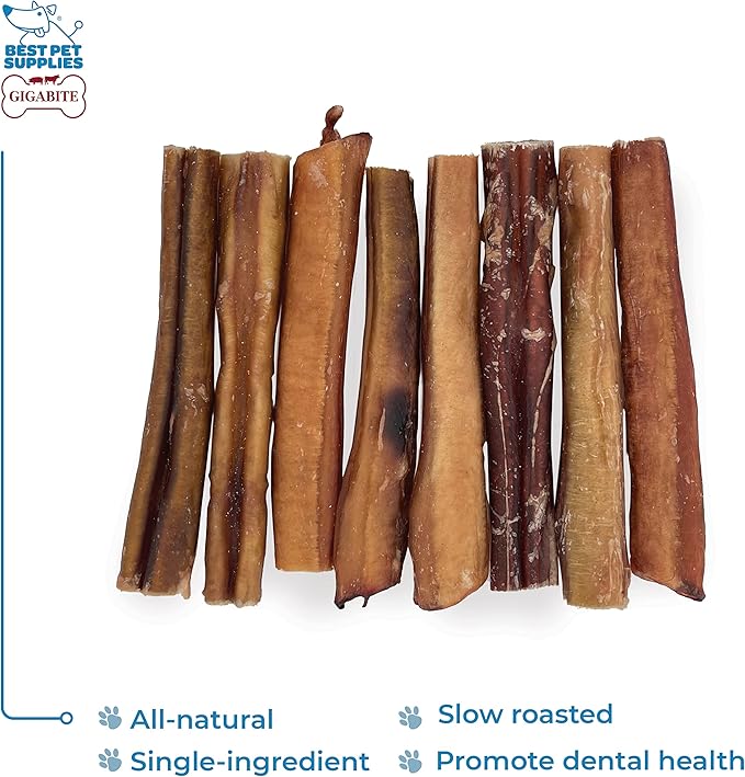 GigaBite Bully Sticks for Dogs All Natural Beef Pizzle Dog Chews, Odor & Rawhide Free Dog Treats, Long Lasting High Protein Chews Digestible Dental Dog Treat - Sticks (Premium 6"), Pack of 8