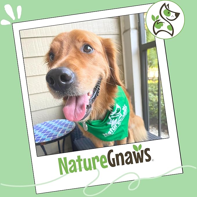 Nature Gnaws Beef Tendon Wraps for Dogs (5 Count) - Long Lasting for Aggressive Chewers - Natural Beef Dog Chew Bones - Rawhide Free