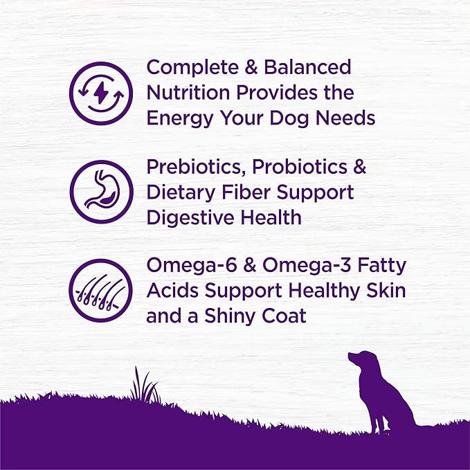 Wellness Complete Health Dry Dog Food, Grain-Free, Natural, Chicken Recipe, (12-Pound Bag)