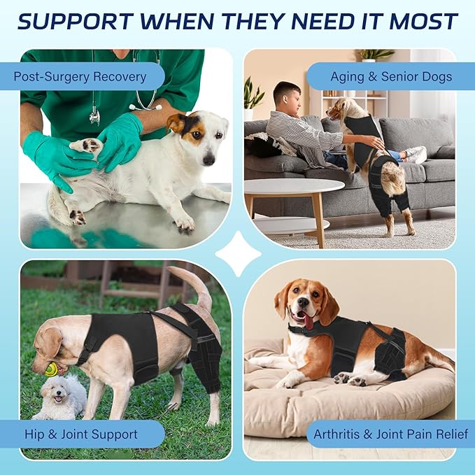 Dog Knee Brace for Torn ACL Hind Leg, Dog Leg Braces Helps with Torn CCL, Luxating Patella, Ligament Injuries, Hip Dysplasia, S