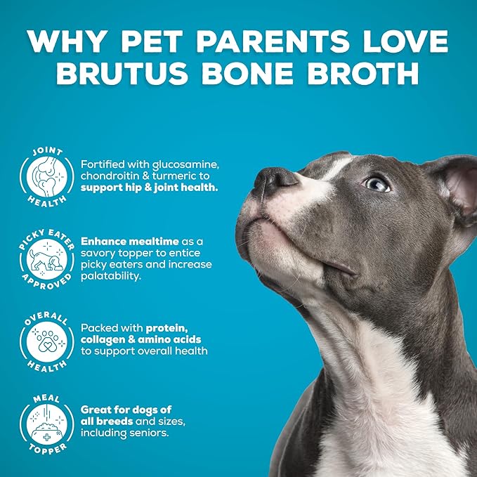 Brutus Bone Broth Liquid for Dogs | All Natural | Made in USA | Glucosamine & Chondroitin for Healthy Joints | Human Grade Ingredients | Hydrating Dog Food Topper, Gravy & Treat (Pork)