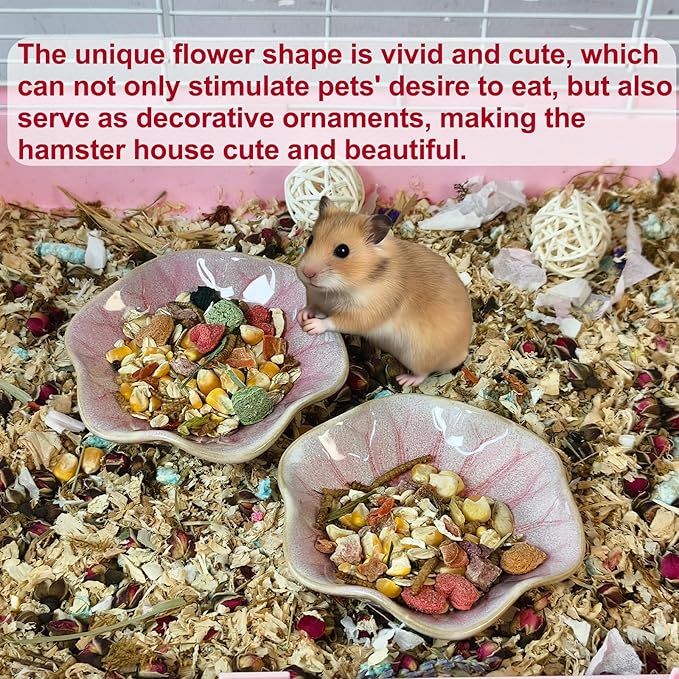 Kathson Ceramic Hamster Food Bowl, Guinea Pig Food Bowls,Rats Anti-Turning Feeding Dish,Small Animals Water Drinking Bowls for Squirrel, Chinchilla, Hedgehog, Gerbil, Dwarf Syrian (2 pcs Pink)
