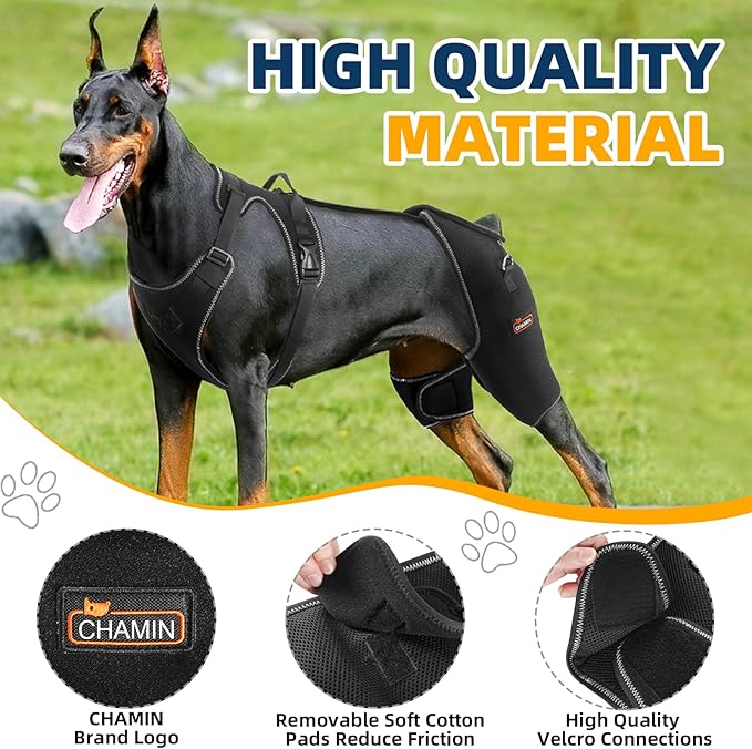 CHAMIN Dog Hip Brace with Back Handheld Design, Support for Hip Dysplasia, Arthritis, Back Leg limping, Reduce Hip Pain & Accelerated Recovery After Surgery etc(Extra Extra Large)