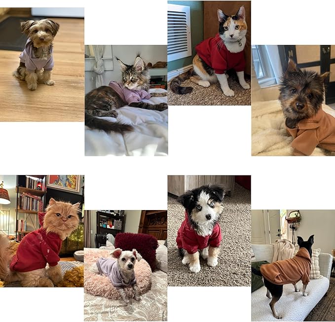 TAPBULL Dog Dresses, Fashionable Pet Dog Sweatshirt Clothes in Dark Colors, Cute Cat Birthday Dress Outfit (Red/Blue/Orange 3-Pack), X-Large