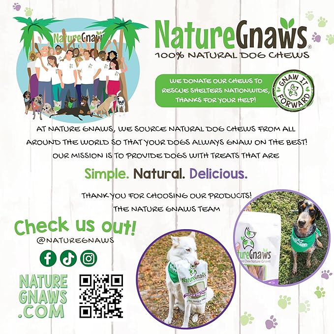 Nature Gnaws Braided Bully Sticks for Dogs 11-12" (5 Count) - Long Lasting for Aggressive Chewers and Large Dogs - Natural Beef Dog Chew Bones