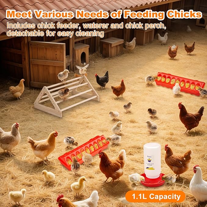Pawaboo 6-in-1 Chicken Brooder Box for Chick Starter Kit, Includes Pet Cage Tent, Brooders Heating Plate, Chicks Perch, Feeder and 1.1L Chick Waterer, Chicks Supplies (Brooder Set)
