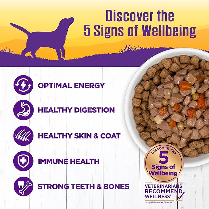 Wellness Complete Health Grain Free Canned Wet Dog Food, Beef Stew, 12.5-Ounce Can (Pack of 12)