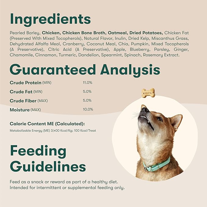 Jinx Oven-Baked Chicken Bone Broth Biscuit Treats, Crunchy, All Natural, Superfood-Rich with Real Chicken, Pumpkin & Blueberries, 16oz
