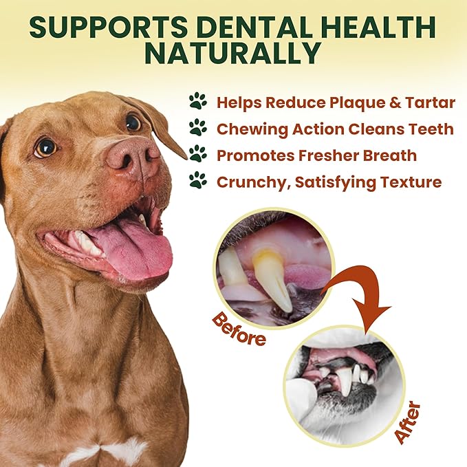 25 Pack 6 Inch Standard Bully Sticks for Medium to Large Dogs – 100% Beef Pizzle, Single Ingredient Rawhide-Free Dental Chews, Long Lasting Natural Dog Treats for Dogs