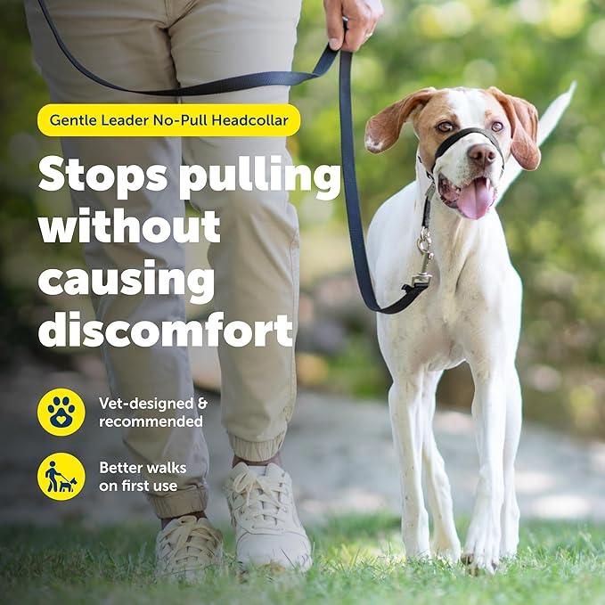 PetSafe Gentle Leader Headcollar No-Pull Dog Collar - Helps Improve Walks - Durable Nylon Construction - Padded Nose Loop - Adjustable Fit - Comfort Walking Halter - Medium, Charcoal