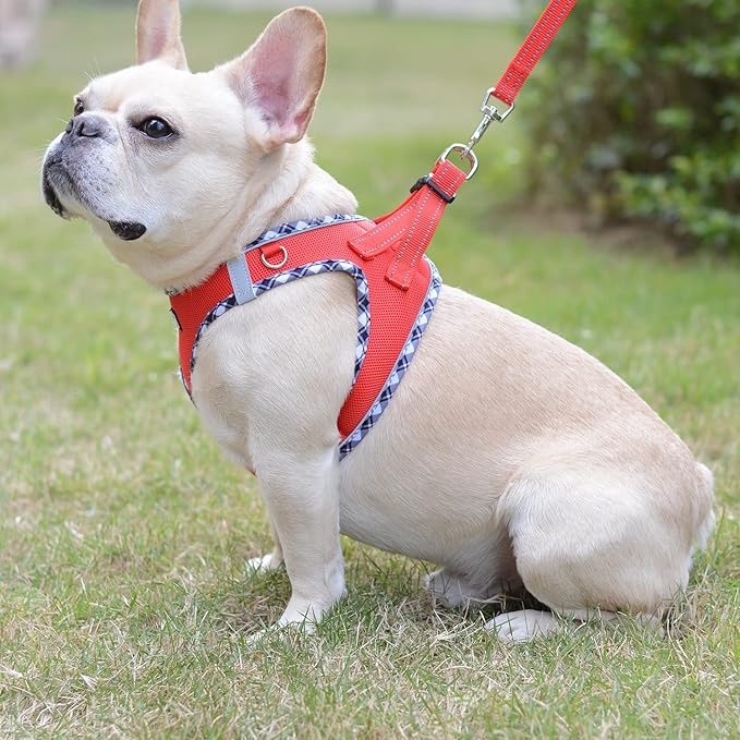 Mercano Soft Mesh Dog Harness and Leash Set, No-Chock Step-in Reflective Breathable Lightweight Easy Walk Vest Harnesses with Safety Buckle for Small Dogs, Cats (Red, M)