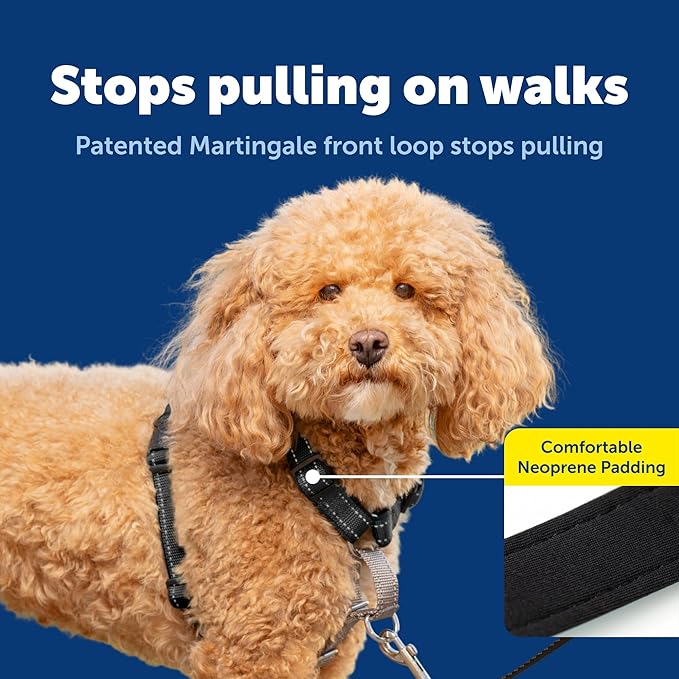 PetSafe 3 in 1 No-Pull Dog Harness for Small Dogs- Walk, Train or Travel - Helps Pets from Pulling on Walks - Seatbelt Loop Doubles as Quick Access Handle - Reflective - Small, Black