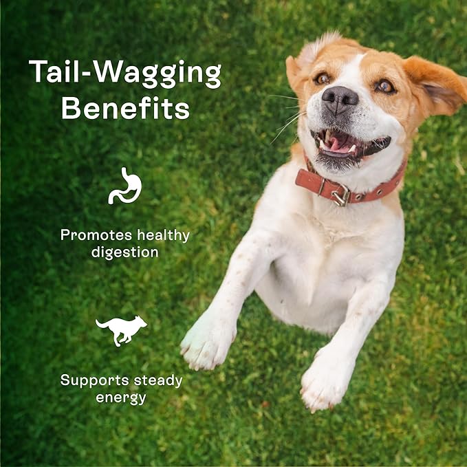 Pawco Dog Treats, Daily – Supports Daily Wellness & Enjoyment – Crunchy Dog Cookies with Peanut Butter & Apple – Functional & Healthy Rewards for Dogs – Magic Cookie – 8.8oz