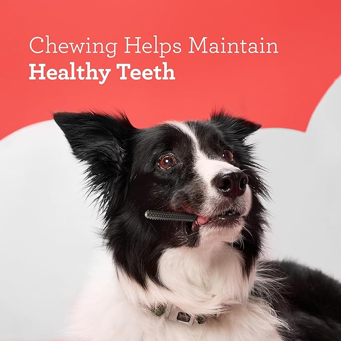 DreamBone Triple Action Dental Sticks Charcoal, 18 Count, Rawhide-Free Chews for Small and Medium Sized Dogs Freshens Breath