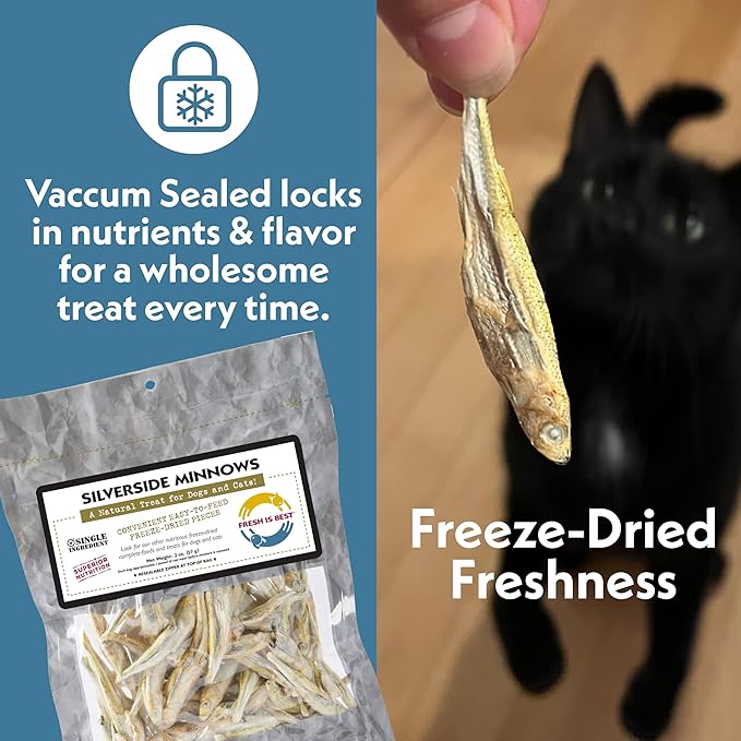Fresh Is Best Silverside Minnows Freeze Dried Dog Treats – Raw Freeze Dried Cat Treats in Resealable Zipper Bag – High-Protein Minnows for Cats and Dogs – Made in The USA