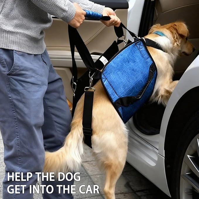 Adjustable Dog Lift Harness, Dog Carry Sling Provides Rear Leg Support for Arthritis and After ACL Surgery Dogs,Suitable for Medium to Large Dogs,XL