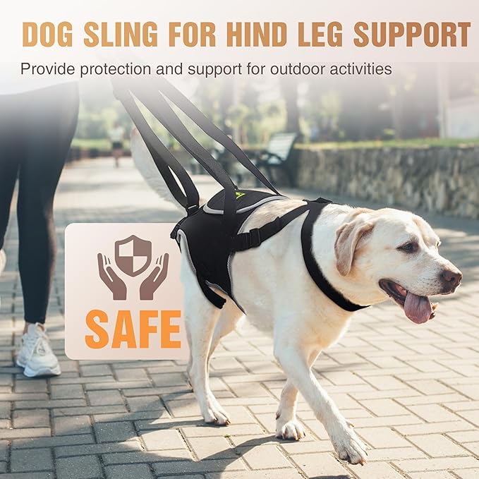Dog Lift Harness for Small Dogs, Adjustable Hind Leg Sling for Walking Support, Helps with Hip Dysplasia, Arthritis & Post-Surgery Recovery, Back Leg Support Harness, Size S
