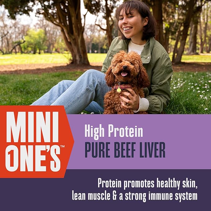 Whole Life Dog Mini Ones Beef Liver Freeze Dried Dog Treats - Human Grade High Protein Food, Healthy Training Snacks, Freeze Dried Food Toppers, USA Made Natural Treats - 6 oz (Pack of 1)