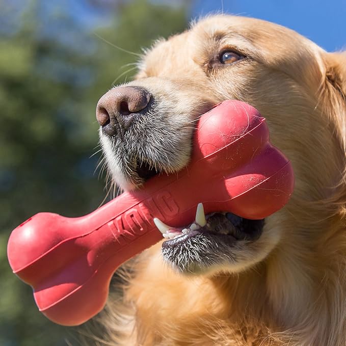 KONG Goodie Bone - Classic Durable Natural Rubber Dog Bone, Supports Mental Engagement - Treat Dispensing - Red - for Extra Large Dogs