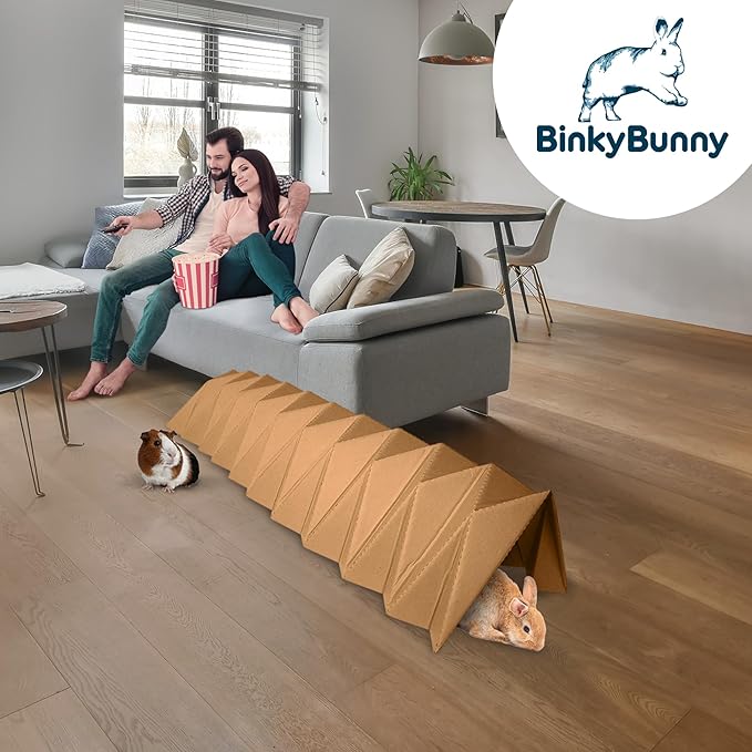 BinkyBunny Tunnel Haven
