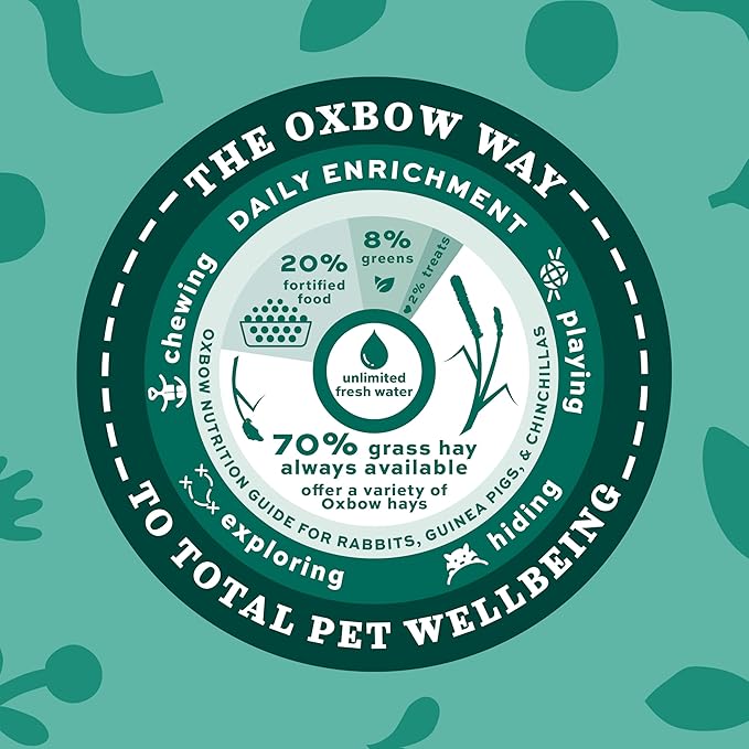 Oxbow Timothy Hay, Rabbit & Guinea Pig Hay, High Fiber for Digestive Health, Grown in The USA, Veterinarian Recommended Small Pet Supplies, Bulk Food for Rabbits, Guinea Pigs, & Chinchillas, 20 lbs