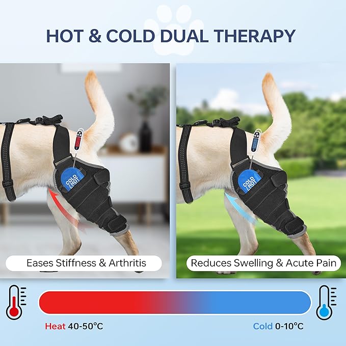 Dog Knee Brace for Back Leg - Adjustable Breathable Canine Leg Wrap with Hot & Cold Gel Packs - Supports Large & Medium Dogs with Arthritis, Hip Dysplasia, ACL Injuries, Left Hind Leg (XL)