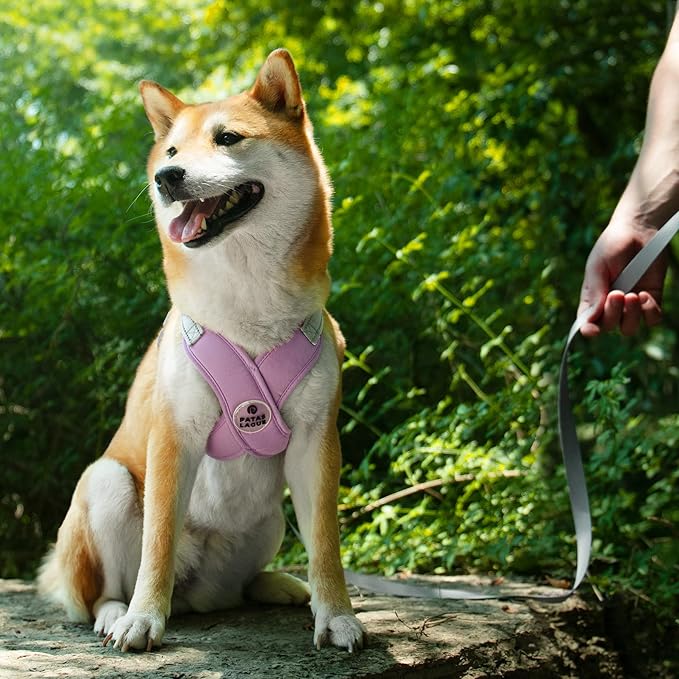 Patas Lague Dog Harness with Leash Set Adjustable Soft Padded Step-in Dog Vest No Choke No Pull Reflective for Small Medium Pets with Poop Bags and Dispenser, Solid and No-chew, Purple M