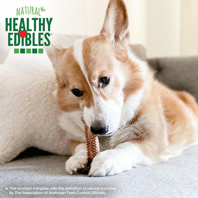 Nylabone Healthy Edibles Natural Dog Chews Long Lasting Meaty Center Beef Flavor Treats for Dogs, Small (12 Count) (Pack of 4)