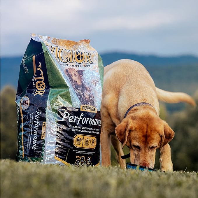 VICTOR Super Premium Dog Food – Performance Dry Dog Food from Beef, Chicken and Pork Meal – 26% Protein for Active Adult Dogs – Includes Glucosamine and Chondroitin for Hip and Joint Health, 40lbs