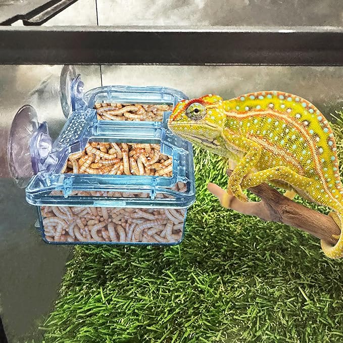 Hamiledyi Transparent Reptile Feeder with Suction Cup Separated Double Compartments Chameleon Bowl Gecko Live Worm Feeder Anti-Escape Reptile Supplies for Lizard Bearded Dragon (Blue, 2 Pcs)