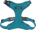 Voyager Step-in Pet Harness - All Weather Mesh, Adjustable Step in Harness for Cats and Dogs by Best Pet Supplies - Turquoise, XS