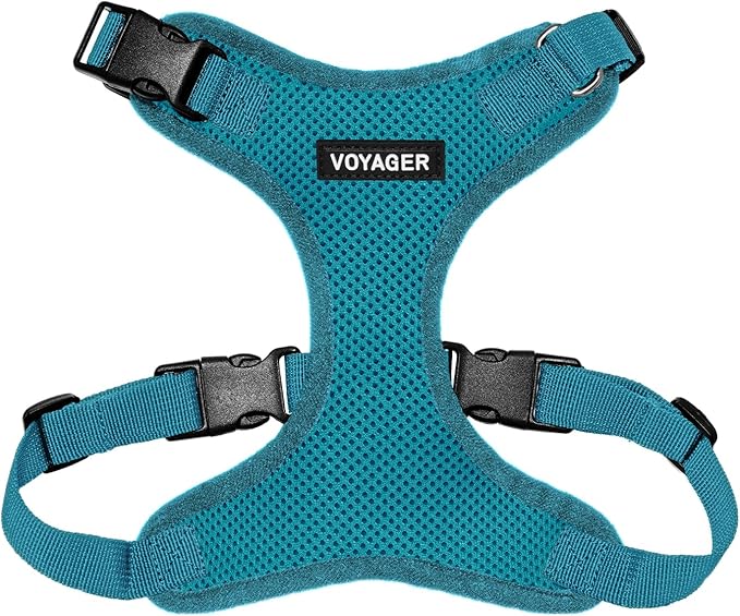 Voyager Step-in Pet Harness - All Weather Mesh, Adjustable Step in Harness for Cats and Dogs by Best Pet Supplies - Turquoise, M