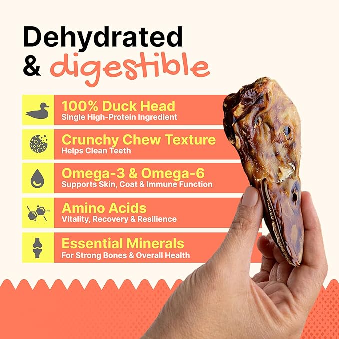Gaines Family Farmstead Duck Heads for Dogs – 3 Count, Single Ingredient, Dehydrated Dog Chews – High in Protein, Supports Dental Health & Joint Care – Rawhide-Free Treats, Made in USA