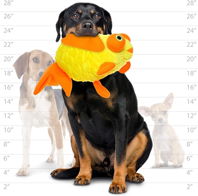 MIGHTY- Massive - Squeaker-Multiple Layers. Made Durable, Strong & Tough. Interactive Play Dog Toy (Tug, Toss & Fetch). Machine Washable & Floats. (Goldfish, Massive 2 Pack)