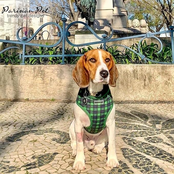 Parisian Pet Green Plaid Dog Harness - Breathable No Pull Puppy Harness with Leash Ring - Adjustable Harnesses for Dogs - Soft Padded Step-in Pet Vest - Lightweight Dog Vests for Large Dogs