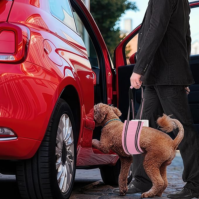 AIITLE Dog Sling Carrier for Hind Leg Support - Adjustable Reflective Design with Plush Padding, Ideal for Senior/Arthritic Dogs & Post-Surgery Recovery (Pink, L)
