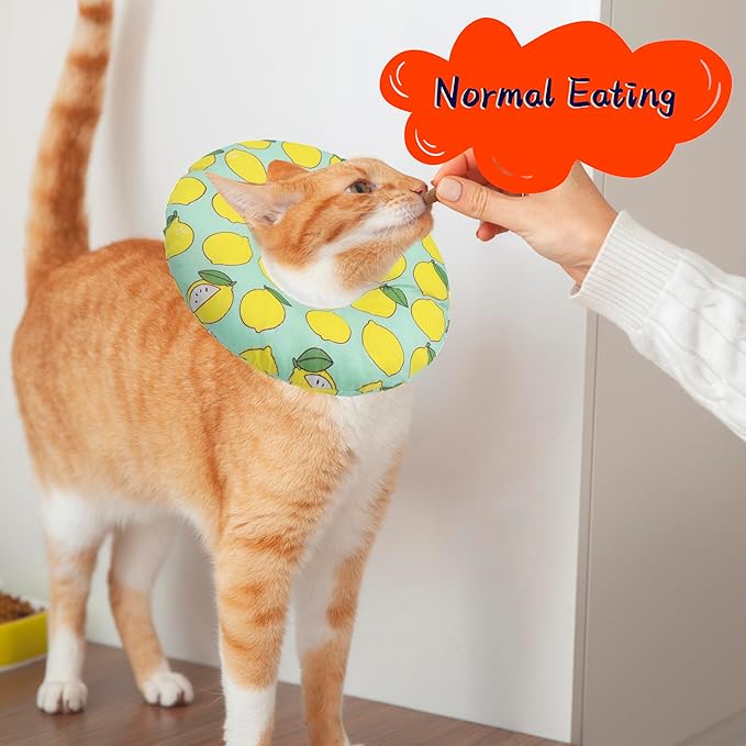Seyezo Cat Cone Collar Soft, Adjustable Cat Recovery Collars Kitten Cones to Stop Licking, Cute Donut E Collar After Surgery, Soft Cone Elizabethan Collar for Kittens (Green Lemon, Medium)