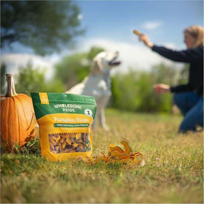 Wholesome Pride Pumpkin Slices Dog Treats – Limited Ingredient, Dehydrated, All Natural, 10 oz