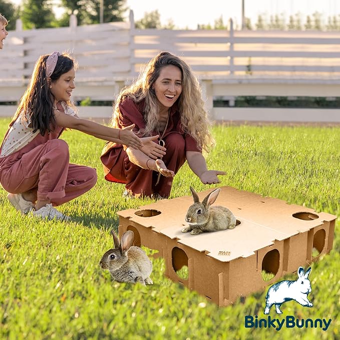 BINKYBUNNY Maze Haven - Rabbit Houses, Bunny Toys, Guinea Pig Castle, Chinchilla Playhouse