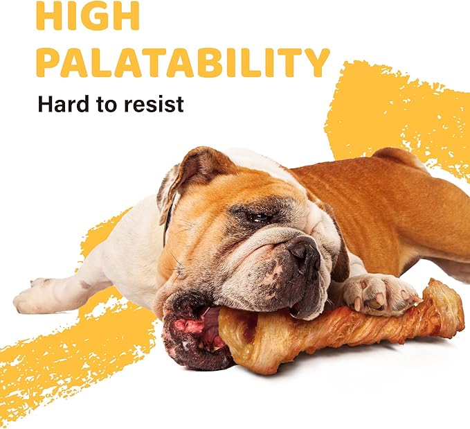 iPaw Turkey Tendons for Dogs 20 Pcs Bulk Pack, 100% Turkey and US Sourced Raw Material, Hypoallergenic, All Natural Human Grade Puppy Chew, Rawhide Alternative Dog Treats, Bone (Medium)